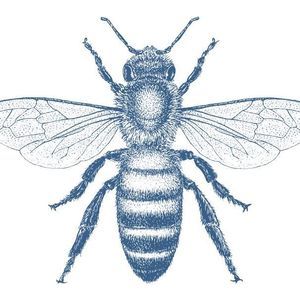 Meet your Posher, Bee